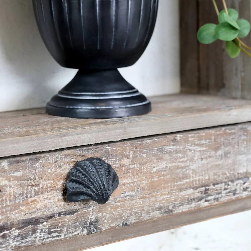 Black Shell Drawer Knob